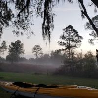 Bearhead Hammock Recreational Area ico