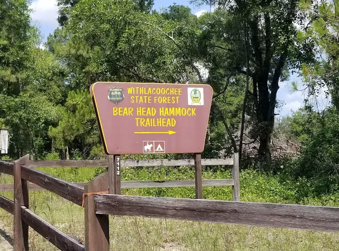 Bearhead Hammock Recreational Area Picture 6