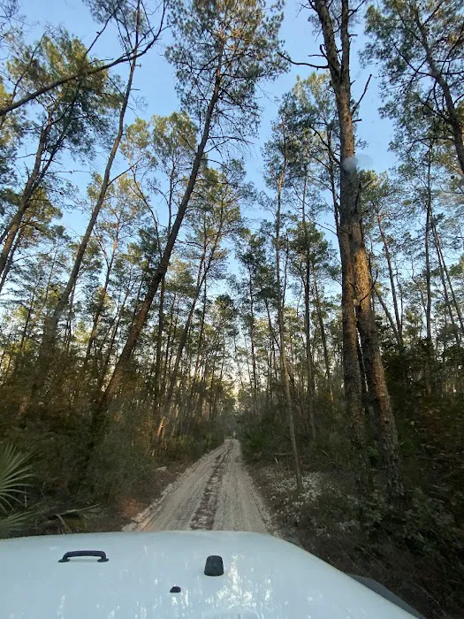 Big Scrub Campground Picture 8