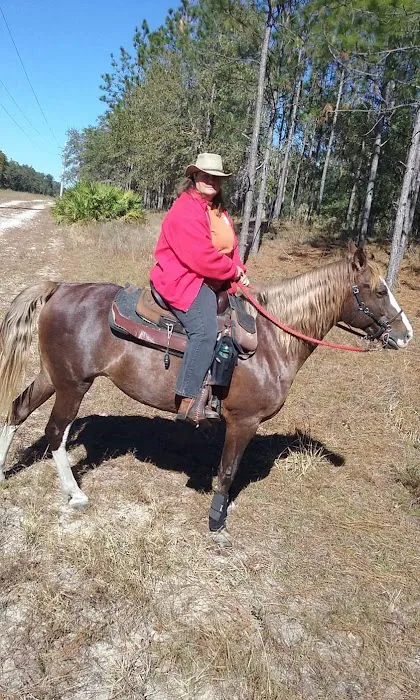 Tram Road Equestrian Campground Picture 3