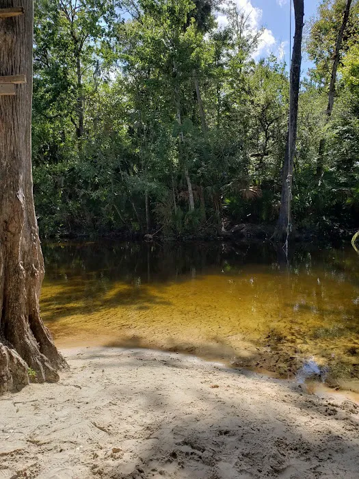 Bluff Landing Campground Picture 9