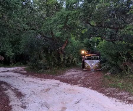 Bluff Landing Campground