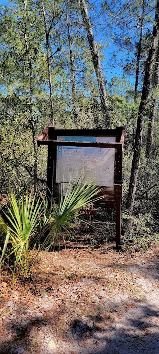 Bluff Landing Campground Picture 10