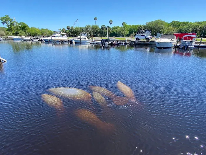 St. John's River Marina & RV Resort Picture 3