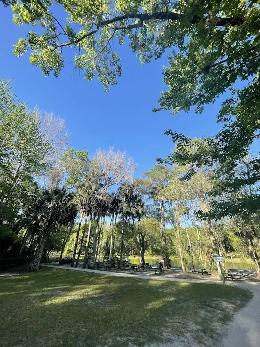 Alexander Springs Camping Area Picture 6