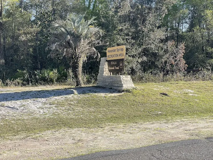 Alexander Springs Camping Area Picture 8
