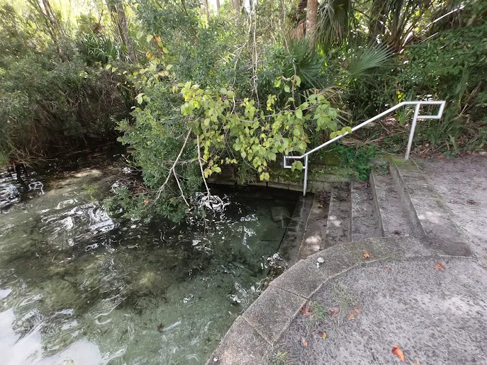 Alexander Springs Camping Area Picture 9