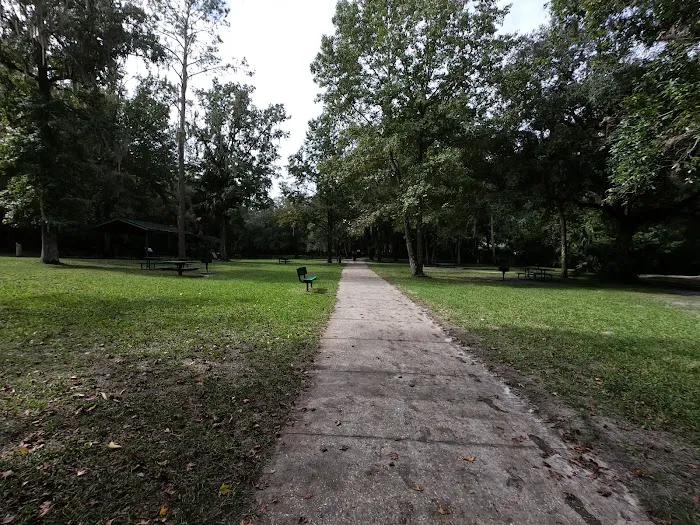 Alexander Springs Camping Area Picture 10