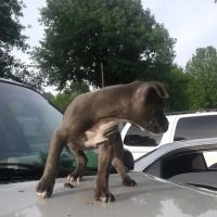 Sleepy Hollow Mobile Home Park ico