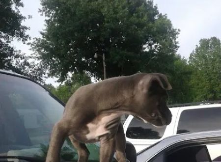 Sleepy Hollow Mobile Home Park
