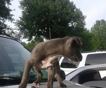 Sleepy Hollow Mobile Home Park