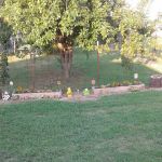 Out-Back RV Park