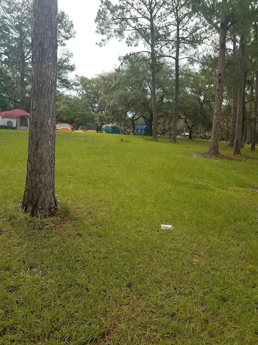 Doe Lake Campground Picture 4