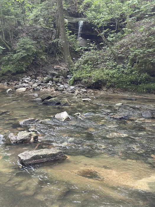 Elliott Branch Picture 9