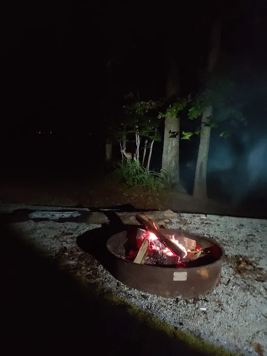 Piney Grove Campground Picture 2