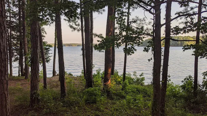 Piney Grove Campground Picture 5
