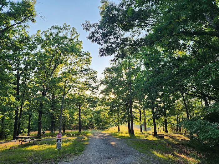 Thousand Trails Cherokee Landing Picture 8