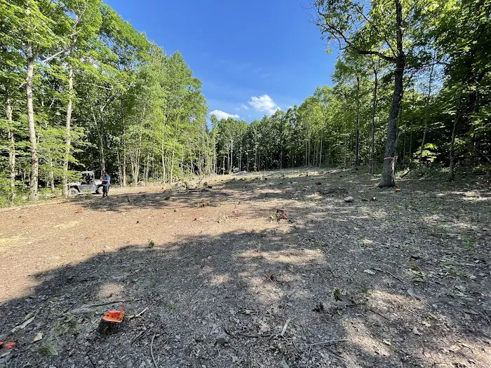 Camp Wilson Picture 7