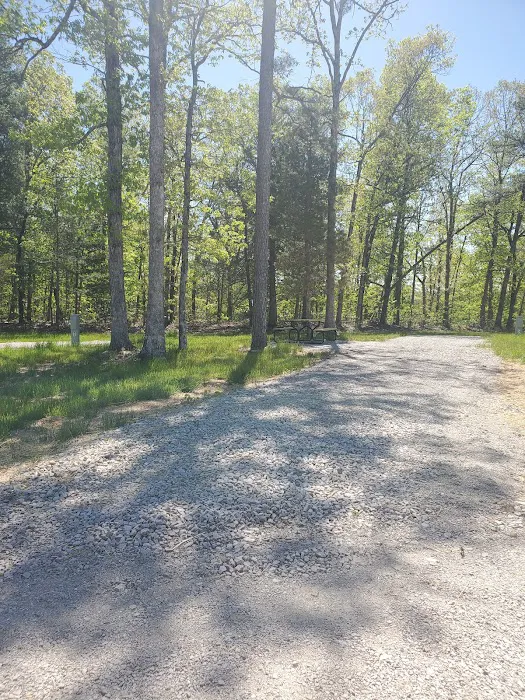 Pine Trails Camp Ground Picture 4