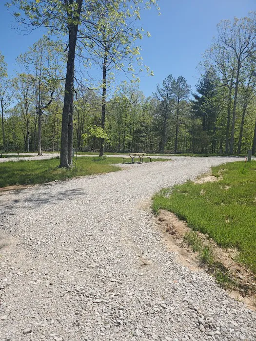 Pine Trails Camp Ground Picture 9