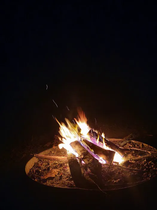 Council Bluff Lake (Wild Boar) Campground Picture 2