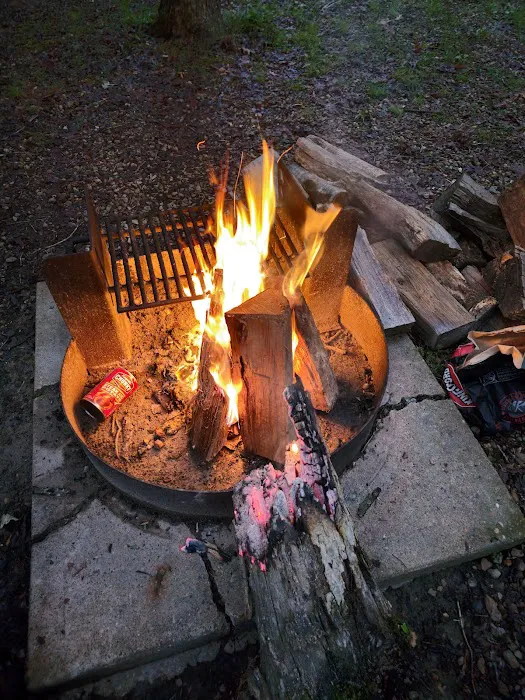 Council Bluff Lake (Wild Boar) Campground Picture 7
