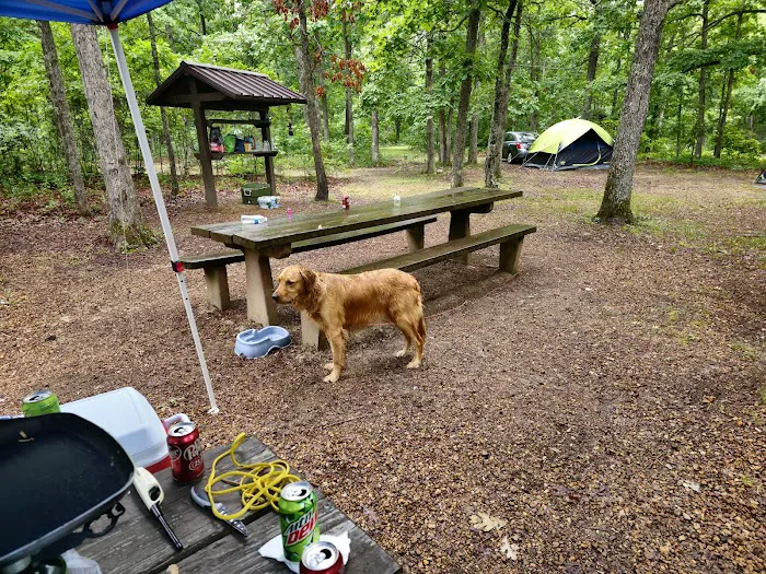 Council Bluff Lake (Wild Boar) Campground Picture 9