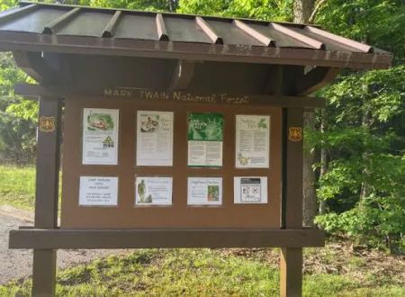 Wild Boar Ridge Campground