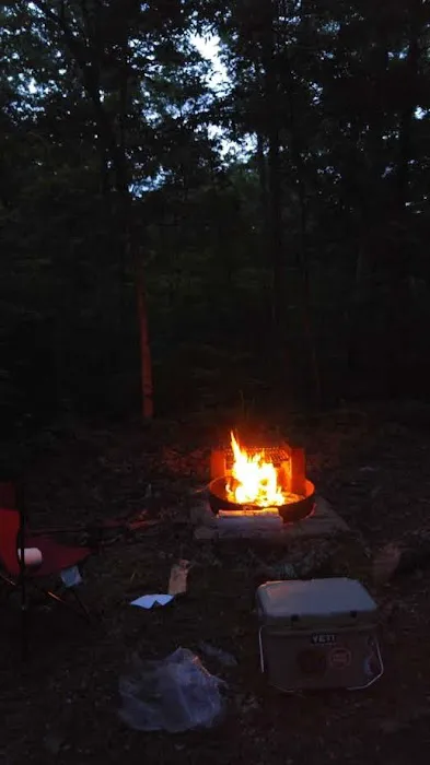 Wild Boar Ridge Campground Picture 6