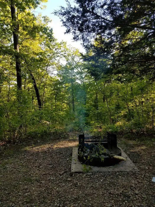 Wild Boar Ridge Campground Picture 7