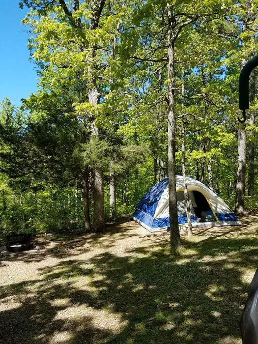Wild Boar Ridge Campground Picture 8