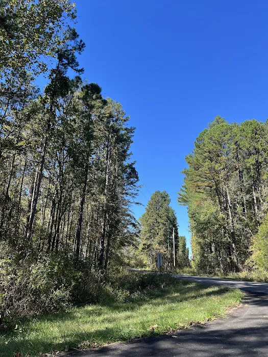 Brazil Creek Campground Picture 8