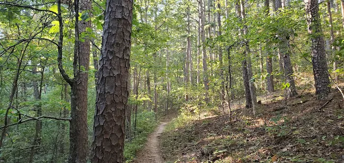 Brazil Creek Campground Picture 2
