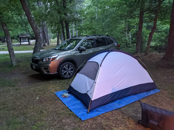 Brazil Creek Campground Picture 1