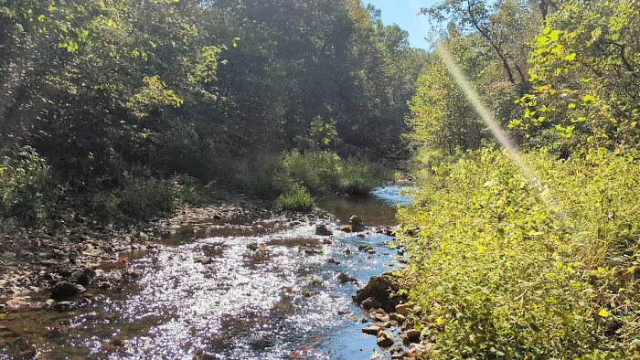 Brazil Creek Campground Picture 4
