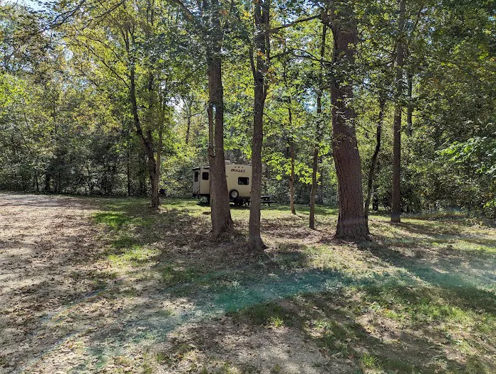 Brazil Creek Campground Picture 7