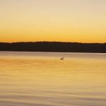 Lake Shore RV & Recreation Pk