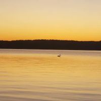 Lake Shore RV & Recreation Pk ico
