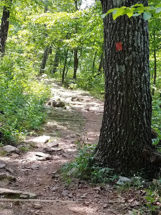 Taum Sauk Mountain Campground Picture 8