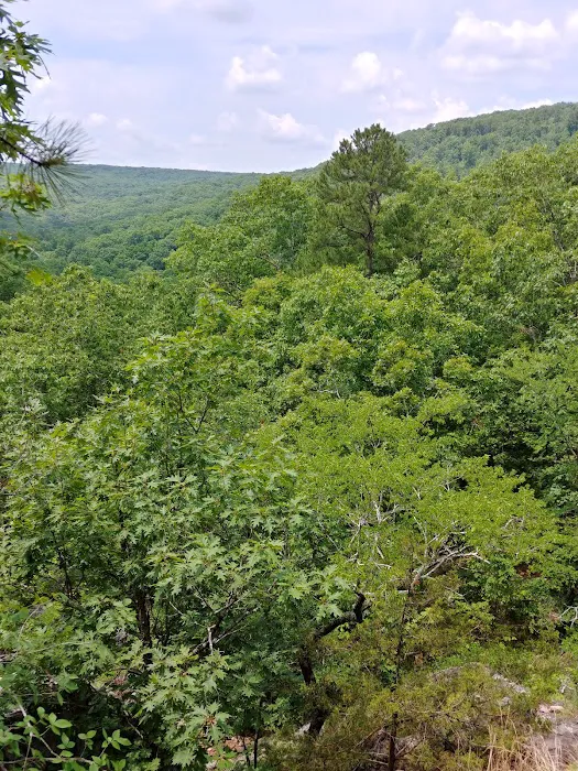 Taum Sauk Mountain Campground Picture 7