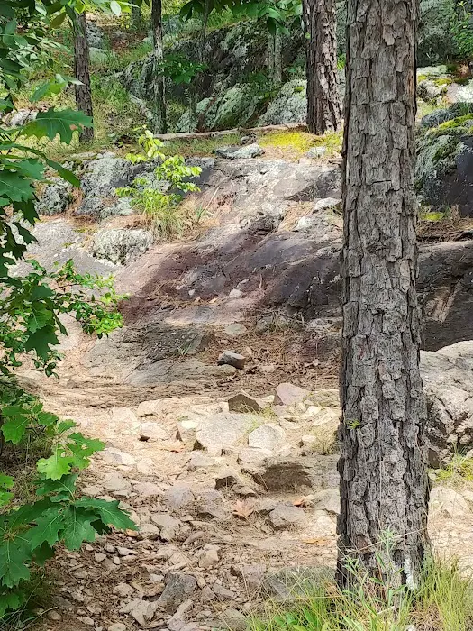Taum Sauk Mountain Campground Picture 9