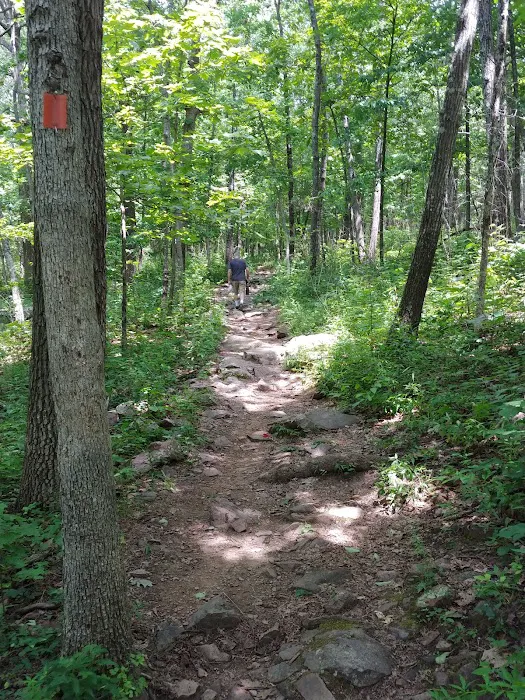 Taum Sauk Mountain Campground Picture 5