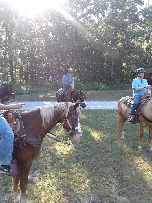 S bar F Ranch Picture 5