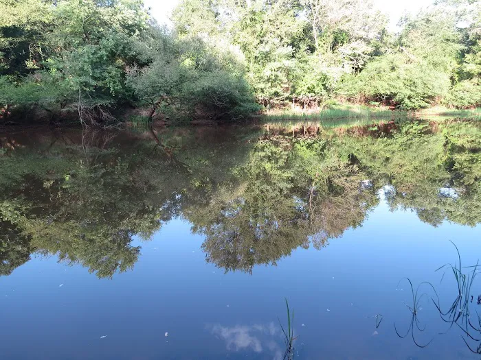 Beaver's Run RV Park & Fish Camp Picture 10