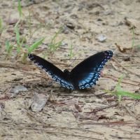 Beaver's Run RV Park & Fish Camp ico