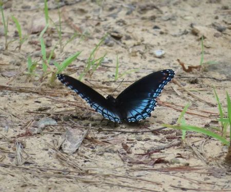Beaver's Run RV Park & Fish Camp