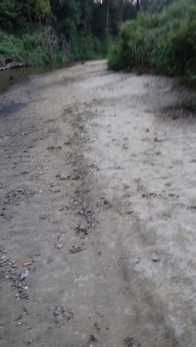 Indian Foot Lake Campground Picture 9