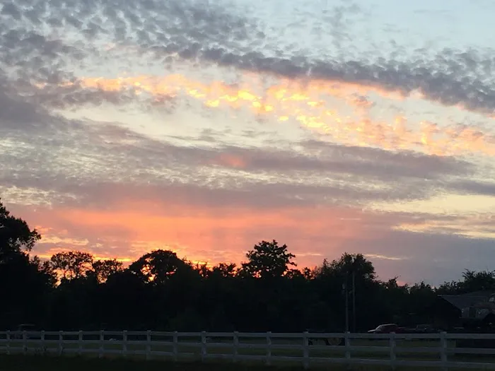 Carter's RV Park Picture 6