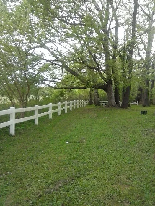 Riverside Campground Picture 4