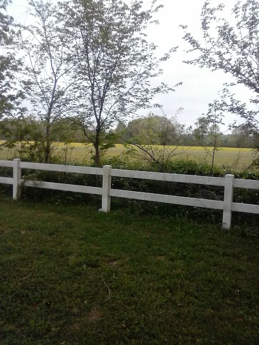 Riverside Campground Picture 3